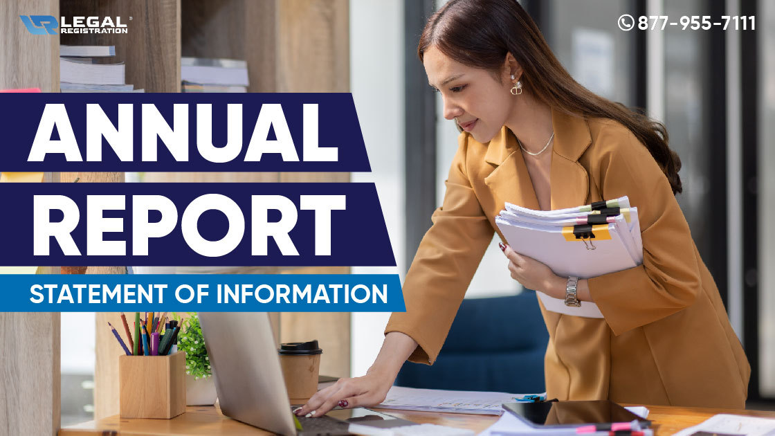 what is an annual report for an llc