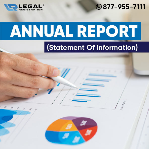 what is an annual report