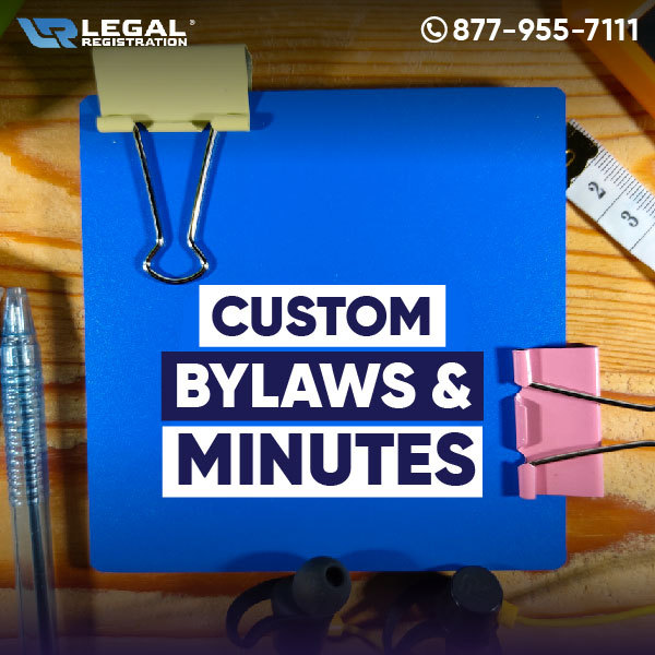 What Can You Expect from Our Custom Bylaws and Minutes Services?