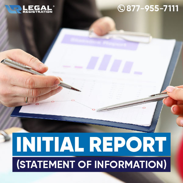 Understanding the Statement of Information (Form LLC-12)
