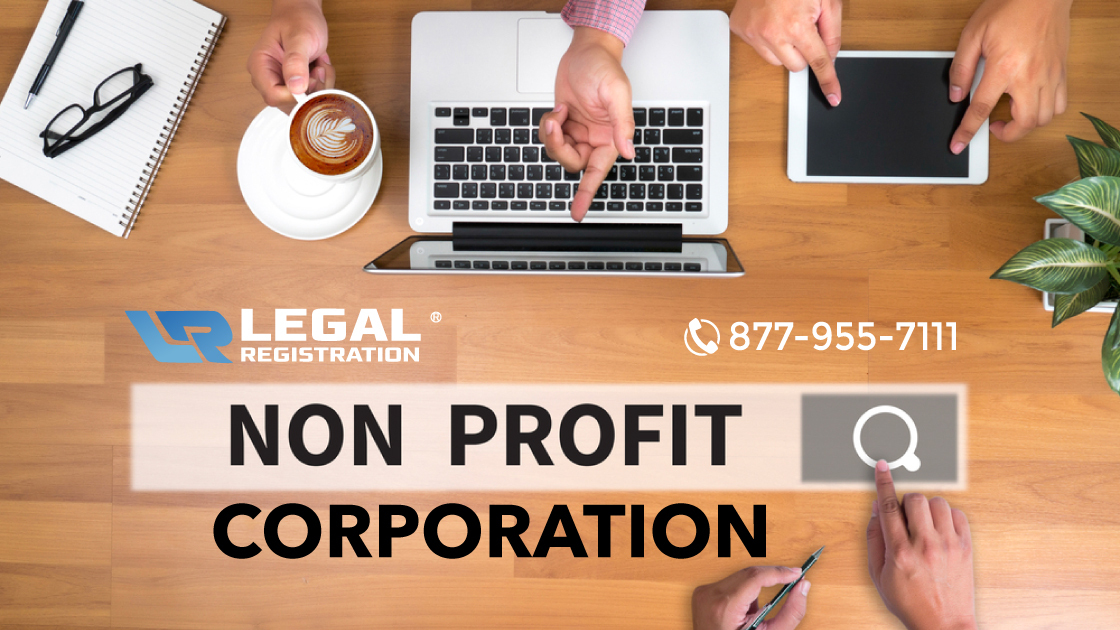 Nonprofit Corporation product image reference 1
